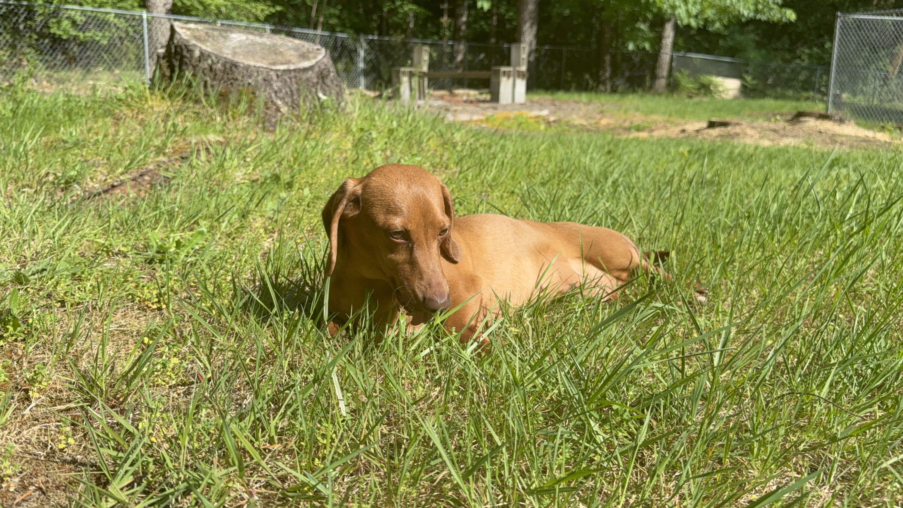 Ruby
